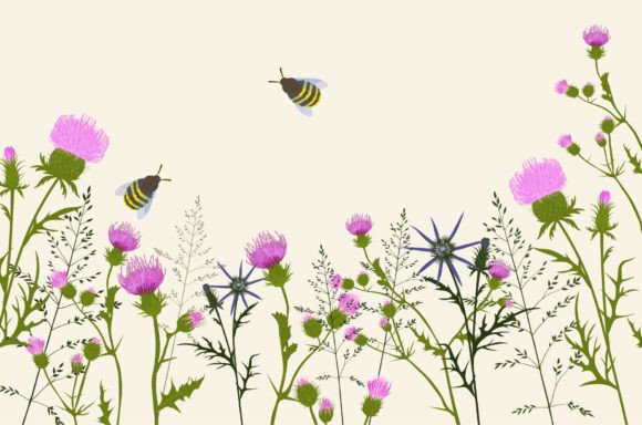 Thistle - Meadow Flower: Strategic Design Assets for Brand Cohesion and Visual Identity