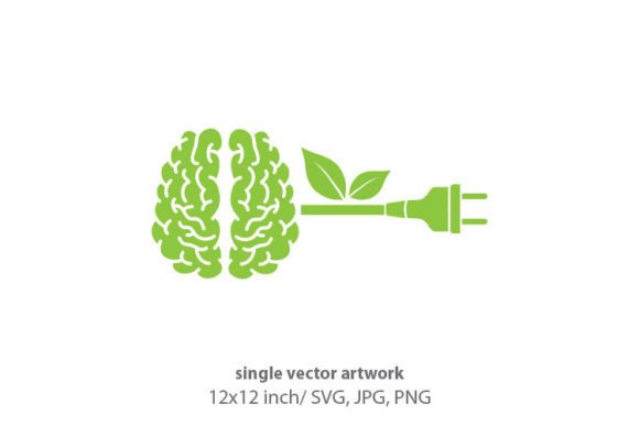 Visualizing Connection: The Human Brain and Electrical Plug Design
